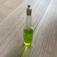 観葉植物2鉢➕栄養液の画像