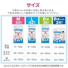 Genki! ゲンキ！ パンツ Big 36枚　５袋の画像