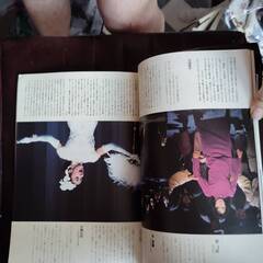 劇団四季　RI KORAN ミュージカルパンフレット 李香蘭　1992年公演の画像