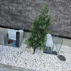オーバーフロー水槽セットの画像