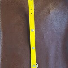 黄色の首輪の画像