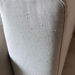ソファの画像