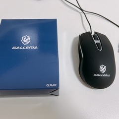 【値下げ交渉可】ガレリア RL7C-R35-5N ゲーミングノートPCの画像