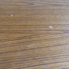 折りたたみ長机　高いのと低いの　　の画像