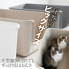 猫砂とトイレセット【中古品】の画像