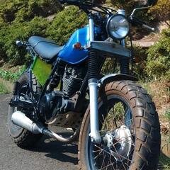 TW200　カスタム　(No.2451)の画像