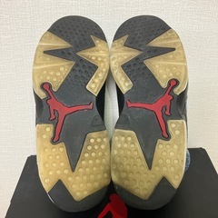 エアジョーダン6 ウォッシュドデニム 27cmの画像