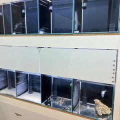 水槽展示棚（木製・オーダーメイド）の画像