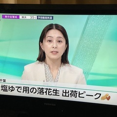 テレビの画像