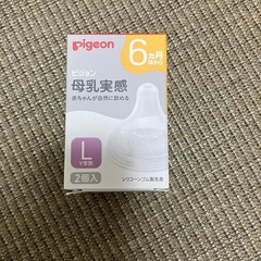 哺乳瓶2本乳首L2個セットの画像