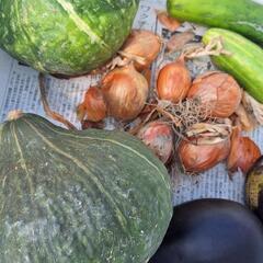 野菜セット の画像