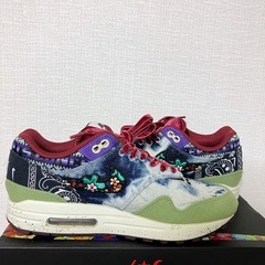 Air Max 1 × Concepts “Mellow” 26cmの画像
