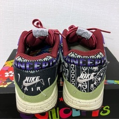 Air Max 1 × Concepts “Mellow” 26cmの画像