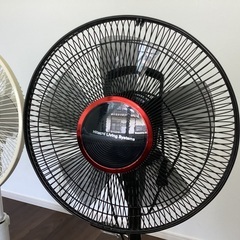 ◼️決定済みの画像