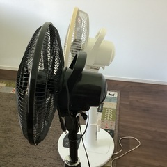 ◼️決定済みの画像