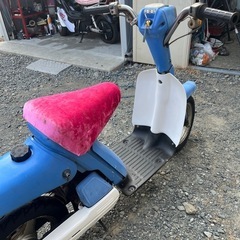 パッソルの画像