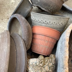 陶器植木鉢　プランターの画像