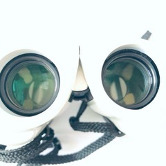 【受付中‼️】NASHICA★OPTICAL 双眼鏡 オペラグラス★いつでもお渡し可能です⭕️の画像