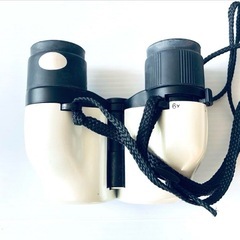 【受付中‼️】NASHICA★OPTICAL 双眼鏡 オペラグラス★いつでもお渡し可能です⭕️の画像