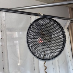 扇風機　　ジャンク
の画像