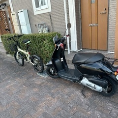ホンダトゥデイ　AF61の画像