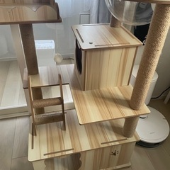 キャットタワーの画像