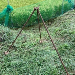譲ってください　三脚　はぜかけ　はざかけ　稲作