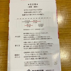 リーフレタス 水菜 なでしこ キンセンカ　種子 8袋セットの画像
