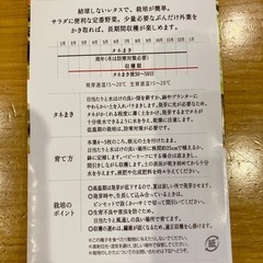 リーフレタス 水菜 なでしこ キンセンカ　種子 8袋セットの画像