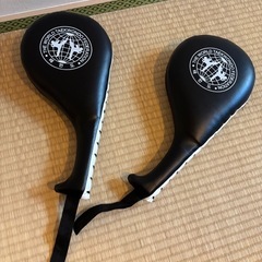 空手・テコンドー ミットの画像