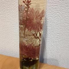 ハンドメイドハーバリウムの画像
