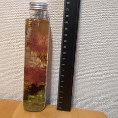 ハンドメイドハーバリウムの画像