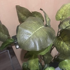 フェイク　観葉植物の画像