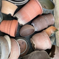 陶器植木鉢　プランターの画像