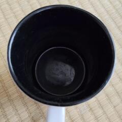 ディズニーシー8月購入新品未使用の画像