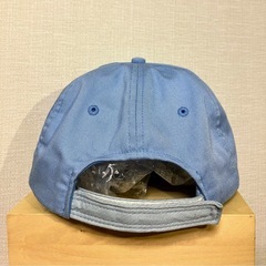 Alltimers 水色 キャップの画像