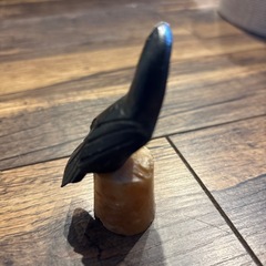 オウム　石の画像
