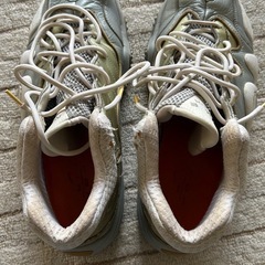 NIKE✴︎ZOOM UPTEMPO V PREMIUMの画像