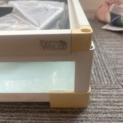 爬虫類　パンテオンホワイトWH9045の画像