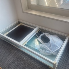 爬虫類　パンテオンホワイトWH9045の画像