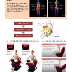 コアトレチェアの画像