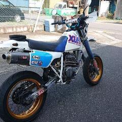 XLR250。自賠責R8年8月。の画像