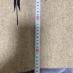 メンズ センチネラ コート 32 ⚠️別サイト掲載中の画像