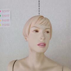 (5)レディースマネキントルソー、ガラス土台、現金手渡し希望ですの画像