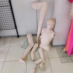 (5)レディースマネキントルソー、ガラス土台、現金手渡し希望ですの画像