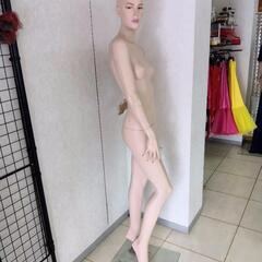 (4)レディースマネキントルソー、ガラス土台、現金手渡し希望ですの画像