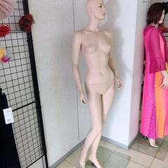 (3)レディースマネキントルソー、ガラス土台、現金手渡し希望ですの画像