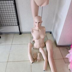 (3)レディースマネキントルソー、ガラス土台、現金手渡し希望ですの画像