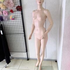 (2)レディースマネキントルソー、ガラス土台、現金手渡し希望ですの画像