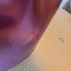 紫バンボの画像
